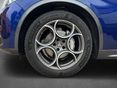 ALFA ROMEO STELVIO 2022/9 - 10