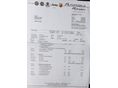 ALFA ROMEO BRERA 2009/7 - 14
