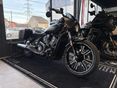 INDIAN SCOUT 2026 - 2