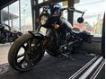 INDIAN SCOUT 2026 - 3