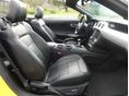 FORD MUSTANG 2017/2 - 10