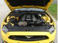 FORD MUSTANG 2017/2 - 12