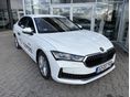 SKODA SUPERB 2025/7 - 2