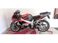 SUZUKI GSX-R 1000 