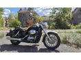 HONDA VT 750 Shadow ACE
