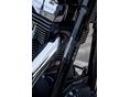 HARLEY-DAVIDSON DYNA WIDE GLIDE 2010/8 - 6