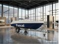 PASCAL 2026/1 - 15
