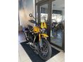 TRIUMPH SCRAMBLER 2025/8 - 3