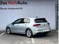 VOLKSWAGEN GOLF 2020/8 - 8