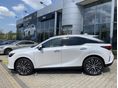 LEXUS RX 2025/6 - 2
