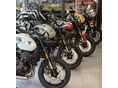 TRIUMPH TRIDENT 2026/2 - 1