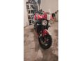 TRIUMPH SPEED TRIPLE 1050 2010/9 - 2