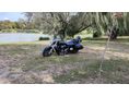 YAMAHA XVS 1300 A MIDNIGHT STAR 2009/5 - 2