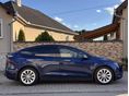 TESLA MODEL X 2019/6 - 6