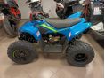 CFMOTO CFORCE 110 2026 - 3