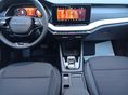 SKODA OCTAVIA 2026 - 3