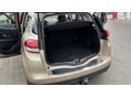 RENAULT SCENIC 2017/5 - 13