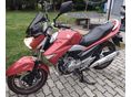 SUZUKI GW 250 INAZUMA 