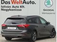 FORD FOCUS 2019/5 - 2