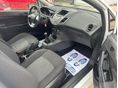 FORD FIESTA 2015/4 - 10