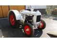EGYEDI Fordson