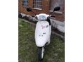 HONDA PAL 1990 - 2