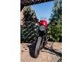 TRIUMPH SPEED TWIN 2024/7 - 3