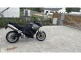 TRIUMPH TIGER 1050 ABS 2009 - 4