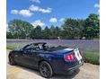 FORD MUSTANG 2011/11 - 3