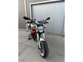 DUCATI MONSTER 1100 (DUAL SPARK) 2009/7 - 15