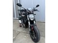 DUCATI MONSTER 821 2020/9 - 10
