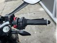 DUCATI MONSTER 821 2020/9 - 24