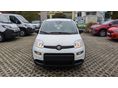 FIAT PANDA 2026 - 2