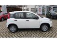 FIAT PANDA 2026 - 4