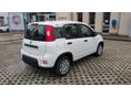 FIAT PANDA 2026 - 5
