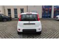 FIAT PANDA 2026 - 6