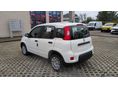 FIAT PANDA 2026 - 7