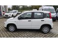 FIAT PANDA 2026 - 8
