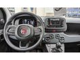 FIAT PANDA 2026 - 10