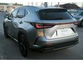 LEXUS NX 2025/2 - 3