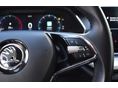 SKODA OCTAVIA 2020/12 - 15