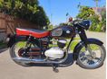 PANNONIA T5 1972 - 6
