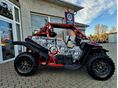 POLARIS RZR 2021/8 - 4