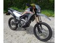 HONDA CRF 300 L 2024 - 3