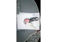 FIAT 500 2018/6 - 20