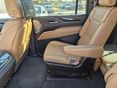 CADILLAC ESCALADE 2022/2 - 11