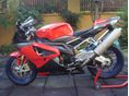 APRILIA RSV 1000 RR