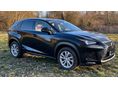 LEXUS NX 2020/11 - 1