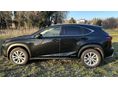 LEXUS NX 2020/11 - 4