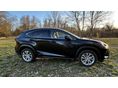 LEXUS NX 2020/11 - 2